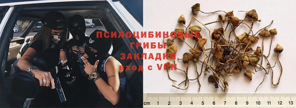 герыч Аркадак