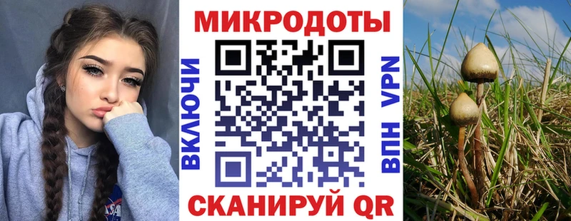 ОМГ ОМГ как зайти  Струнино  Галлюциногенные грибы Psilocybine cubensis 